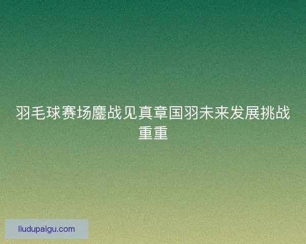 羽毛球赛场鏖战见真章国羽未来发展挑战重重